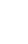 icon white